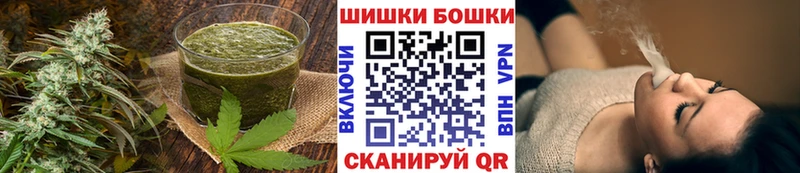 мега ТОР  Орлов  Canna-Cookies конопля  закладка 