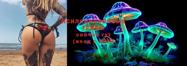 a pvp Аркадак
